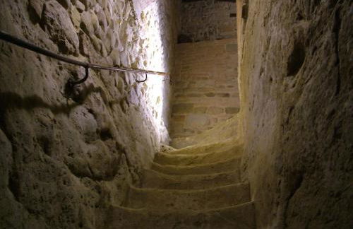 Fattoria Pogni - Foto 73