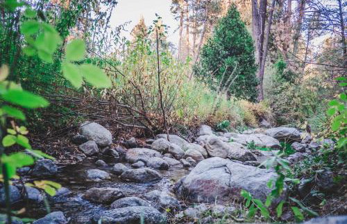 Wildland Aerie at Treehaus with Creekside Hot Tub Pets OK - Foto 71