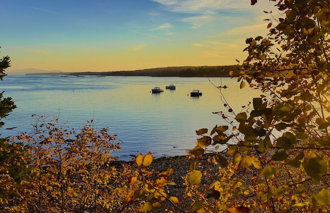 Lucky Stone Retreat - Private Beach & Acadia View - Photo 38