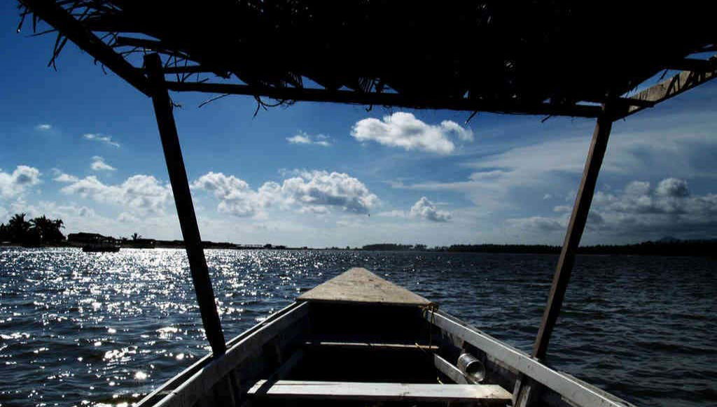 Liberación de tortugas en la laguna de Coyuca - Photo 2