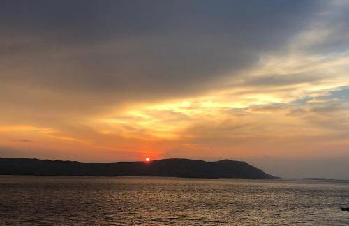 2Bfree Apartments - Photo 38