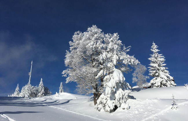 Appartements Rabitsch Hof - Foto 56