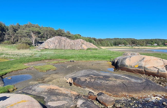 4 Star Holiday Home in Tanumshede-by Traum - Foto 8