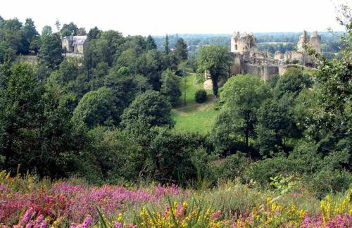 Chez Betty - Foto 30