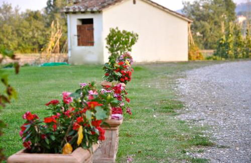 Morami Wine Agriturismo - Foto 84