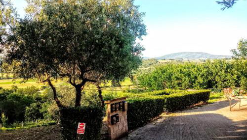 Appartamento in Villa - Foto 5