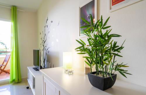 Playa Torrecilla Piscina Centro 2 Habitaciones - Foto 7