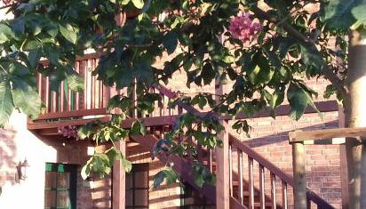 KASTANIENHOF im Spreewald - Foto 5