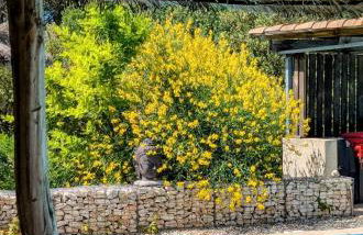 Appartement 5 personnes - Mas du Soleil - Foto 21