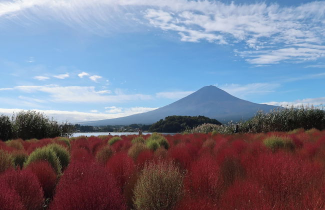 Kuranoyado Matsuya - Foto 72