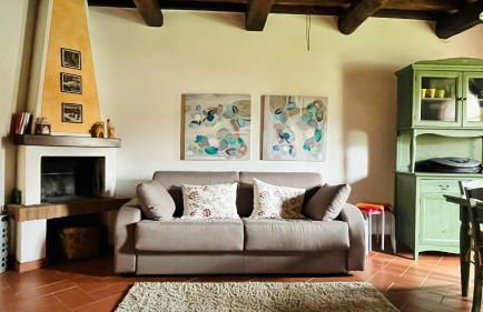 Uva - Poderone - Foto 3