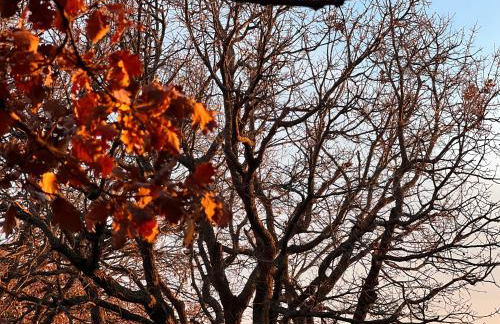 Il Giardino di Efesto - Foto 3