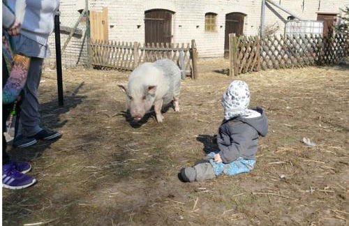 Gnaden- und Ferienhof Saale Wittgenstein in the middle of gar nix - Foto 33