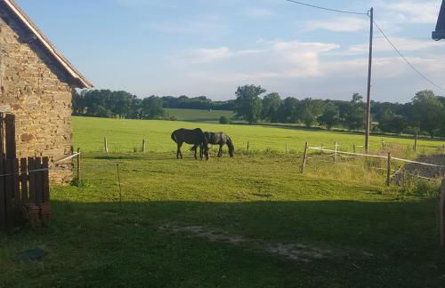accommodation à la ferme - Foto 11