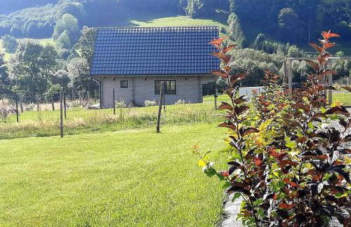 Domek pod Ostoją Góry Sowie - Foto 54