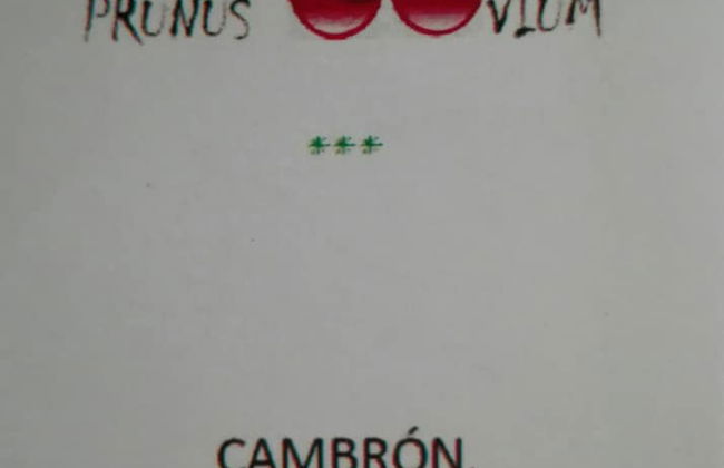 Casas Rurales Prunus Avium - Foto 1