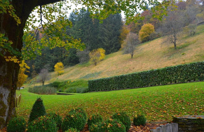 Plush Mill in Vresse-sur-semois With Pool & Sauna - Foto 28