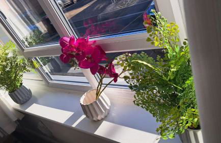 Tropical Sun Homes - Beautiful spacious 3 bed home in a serene environment with free parking for 2 cars - Foto 9