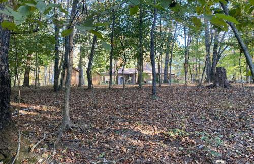 Quiet Forest Vacation home on a Private Road with Spacious Patios, Fire pit, Pet friendly and a Private pool - Foto 16