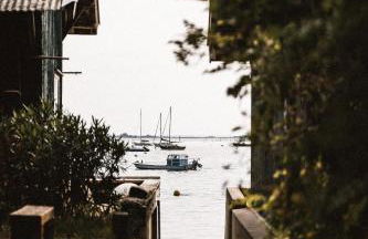 Flou de Pin - Foto 25