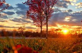 luxury Dear Tryon Cabin by TIEC in Green River Highlands - Foto 32