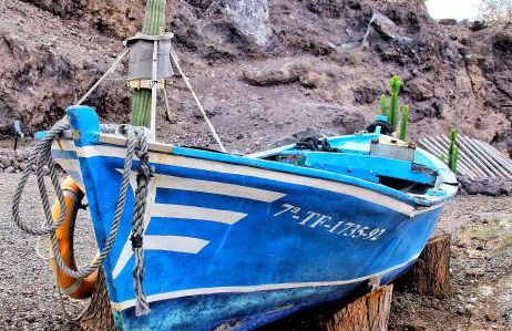 FINCA BEROLO 1 - Foto 35