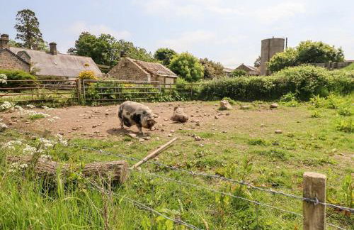 Cherry Tree Cottage - Foto 18