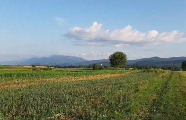 Apartment Rosie - Foto 38