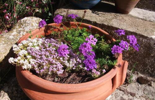 Vila Casa Do Sobral - Foto 48