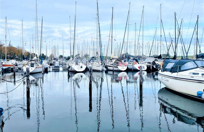 2 bedroom House in Brouwershaven with garden and terrace - Photo 25