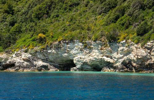 Thodoroulis - Foto 18