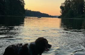 Blue Heron Sanctuary & Serene, river-front cottage - Foto 50