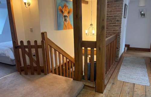 The Paddocks - Photo 13