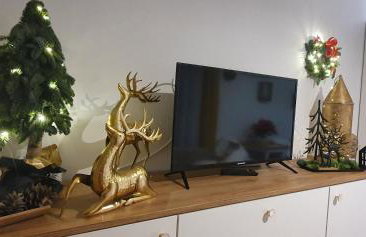 Apartament w Sercu Gór z ogrodem - Foto 14