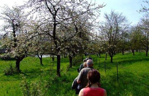 Ferienhaus Hofmann Hainrode - Foto 10