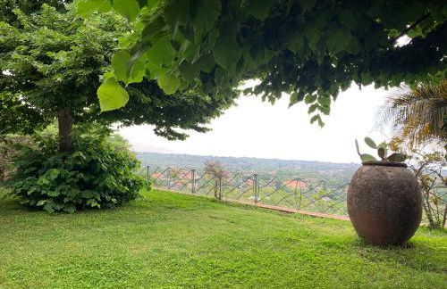 Il palmento - Foto 46