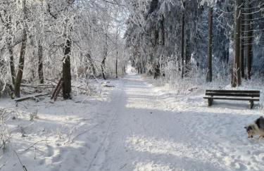 Ferienwohnung Schanzenblick - Foto 12