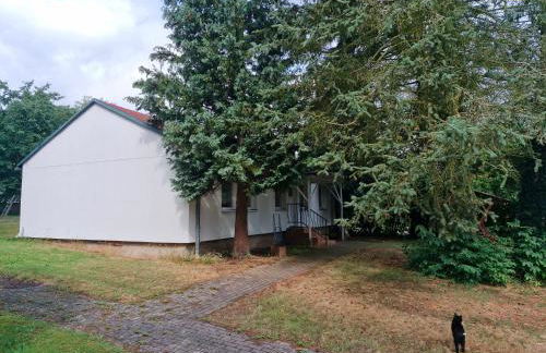 Bungalow 2 - 4-Raum-Wohnung mit Küche und 2 WC Duschen in Ohrdruf-Crawinkel - Photo 9