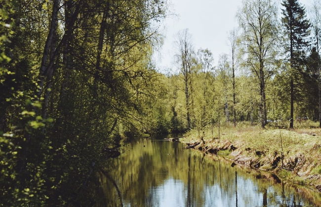 Lövångergården - Photo 67