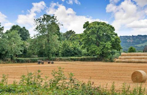 Little Rissington - Barn Two - Foto 8