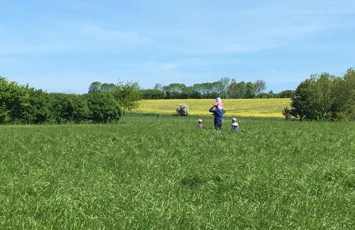 Ferienhof Schulz - Foto 10