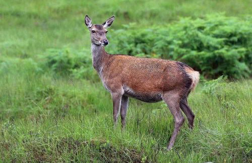 country retreat, long term stays hot tub - Photo 34