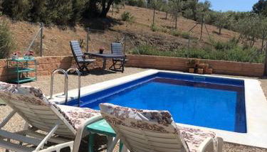 Paraiso Baja - Foto 4