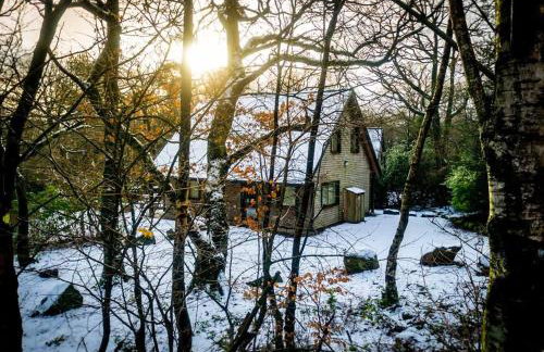 Ellastone, woodland lodge with hot tub for 8 - Foto 2