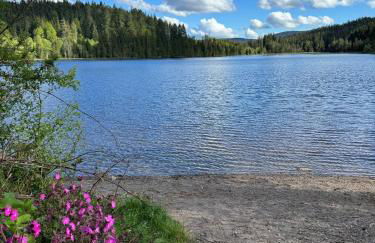 BergOase-Apart am Feldberg - Foto 46
