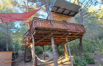 TreeHouses Ljubač Glamping Robinson - Foto 13