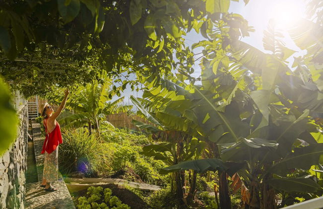 Casa da Vargem II, With Swimming Pool - Photo 30