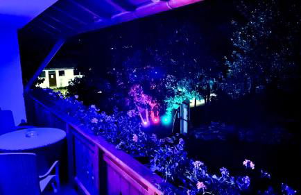 FeWo Chris, nähe Center Parcs Leutkirch im Allgäu - Foto 15