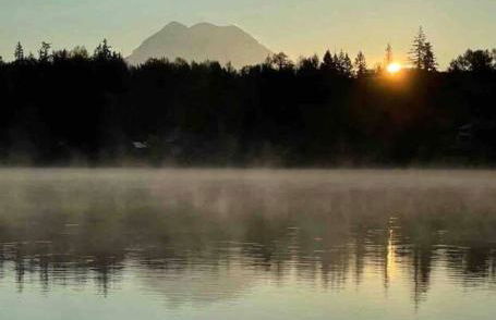 Unique Waterfront Cottage 34 Mi To Mt Rainier - Foto 19