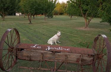 le Mas de la Jardine - Foto 64